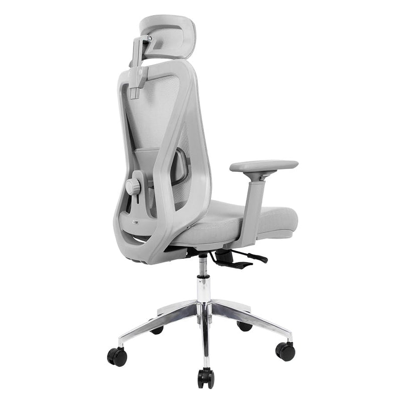Silla de Oficina Delphi A6G Plus Deluxe