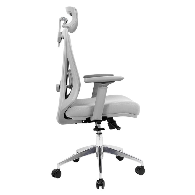 Silla de Oficina Delphi A6G Plus Deluxe