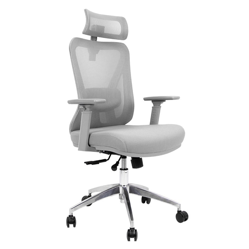 Silla de Oficina Delphi A6G Plus