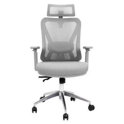Silla de Oficina Delphi A6G Plus