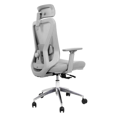 Silla de Oficina Delphi A6G Plus