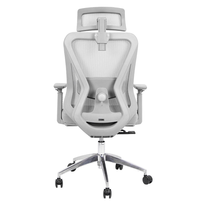 Silla de Oficina Delphi A6G Plus