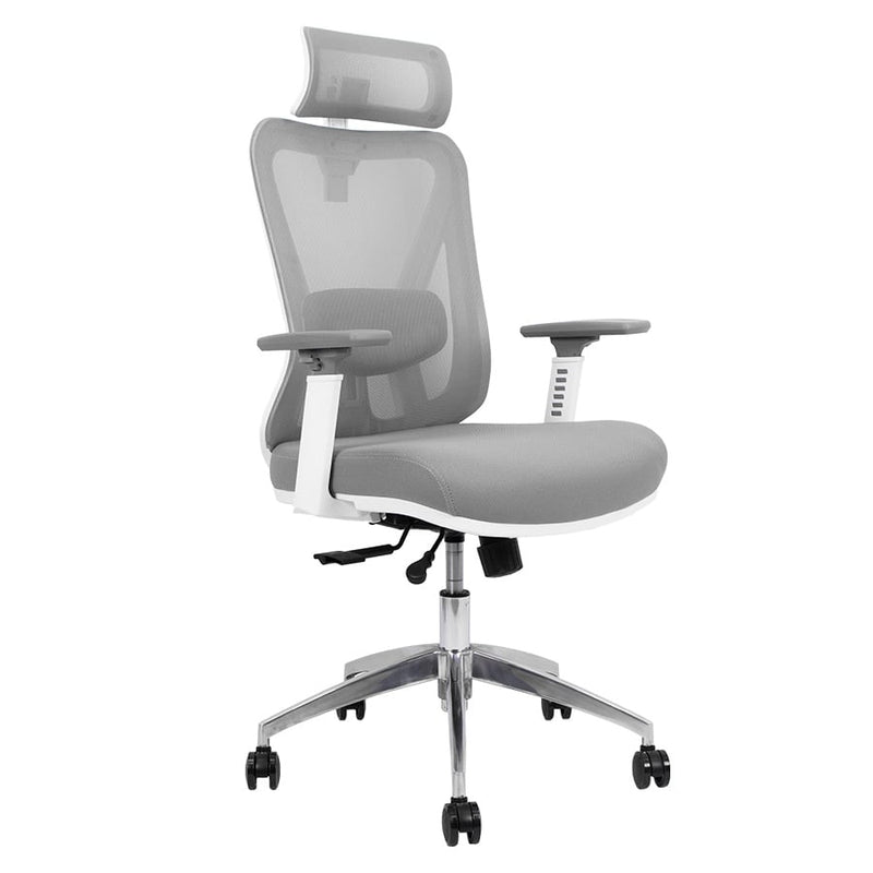 Silla de Oficina Delphi A6W Plus