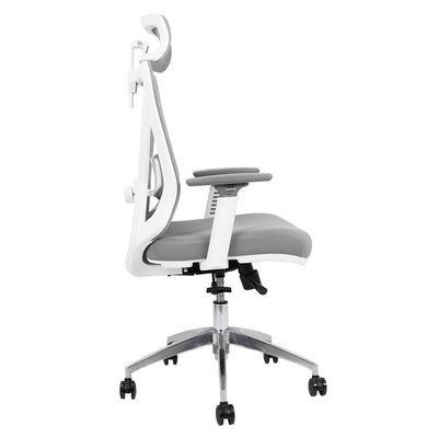 Silla de Oficina Delphi A6W Plus