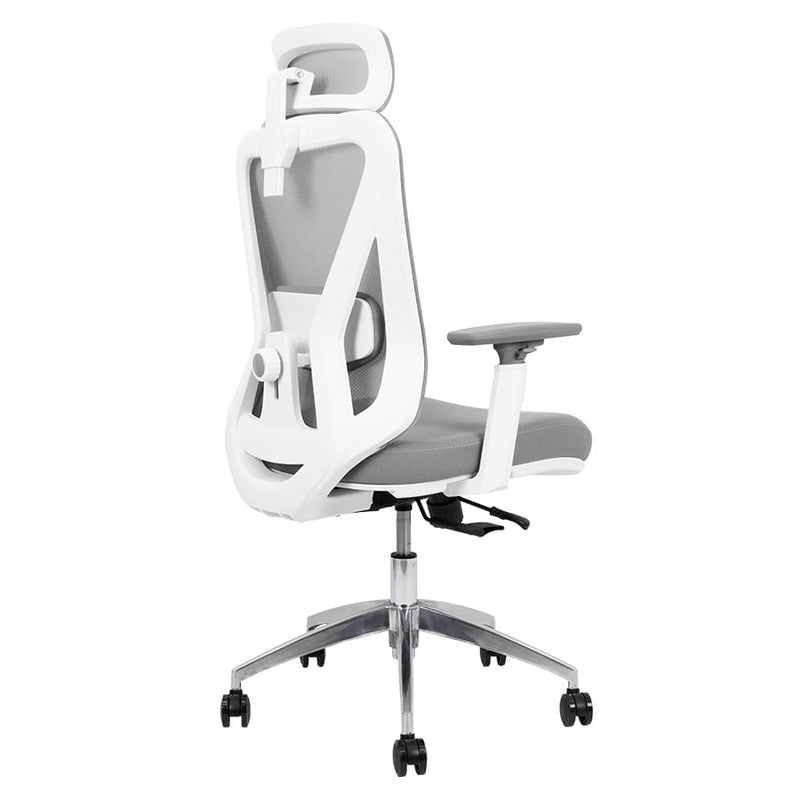 Silla de Oficina Delphi A6W Plus