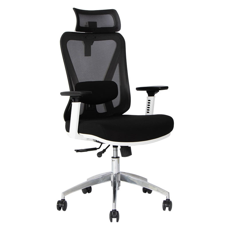 Silla de Oficina Delphi A6W Plus