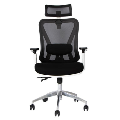 Silla de Oficina Delphi A6W Plus