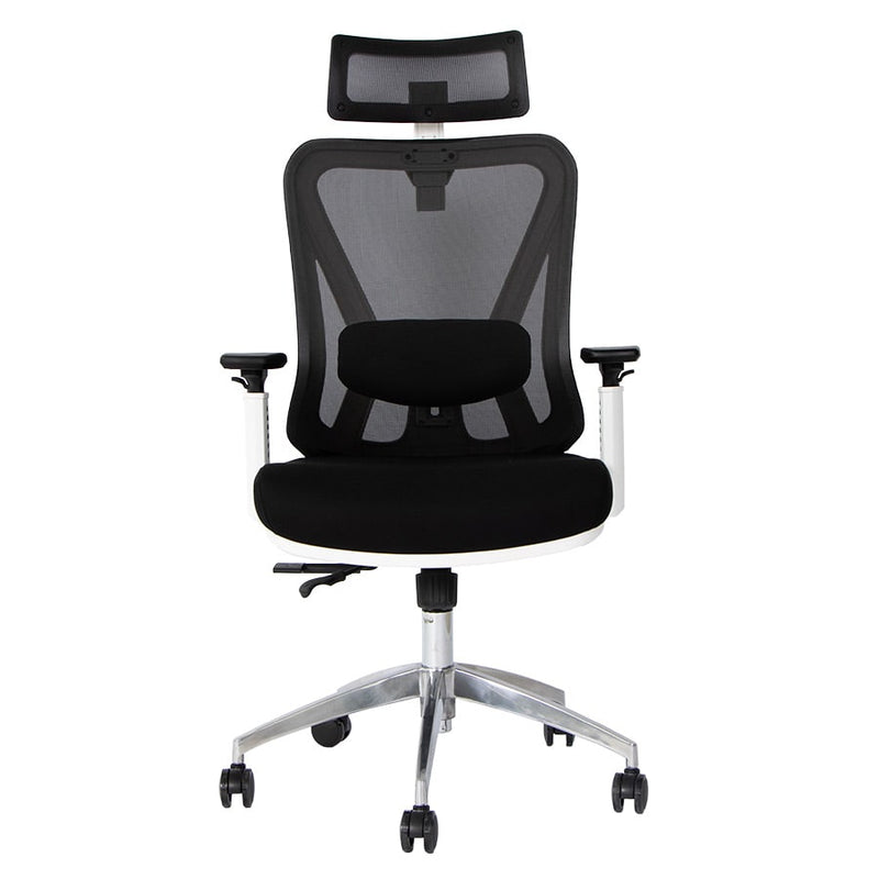 Silla de Oficina Delphi A6W Plus