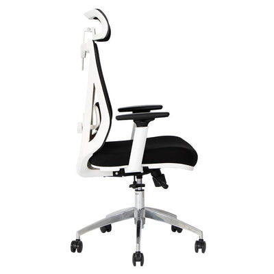 Silla de Oficina Delphi A6W Plus