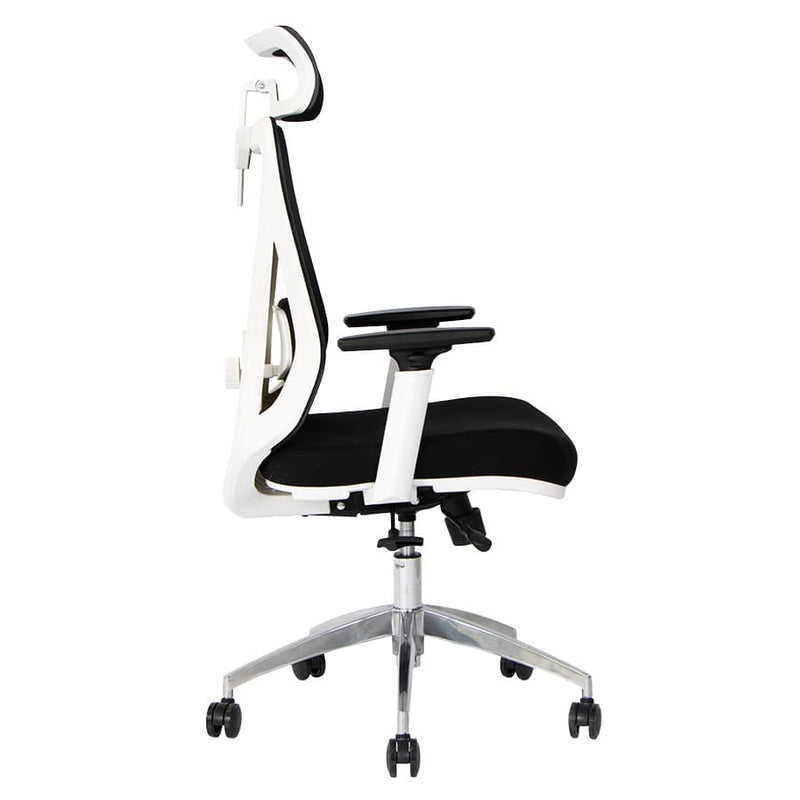 Silla de Oficina Delphi A6W Plus