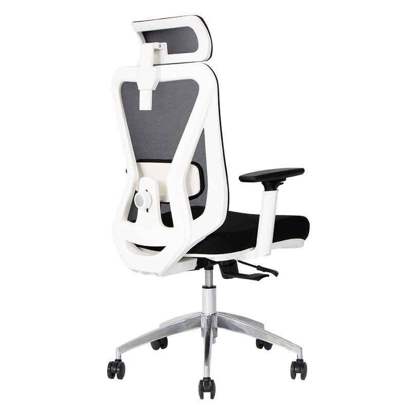 Silla de Oficina Delphi A6W Plus