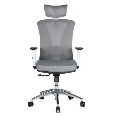 Silla de Oficina Delphi AGW Plus