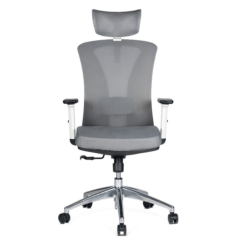 Silla de Oficina Delphi AGW Plus