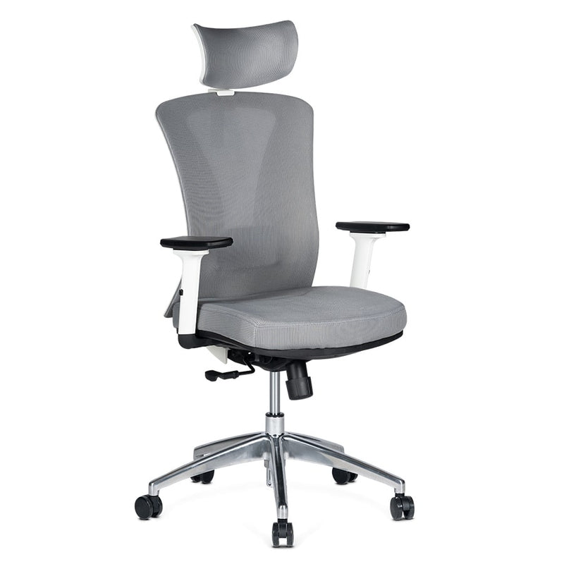 Silla de Oficina Delphi AGW Plus