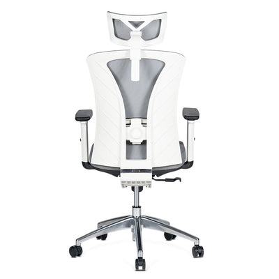Silla de Oficina Delphi AGW Plus