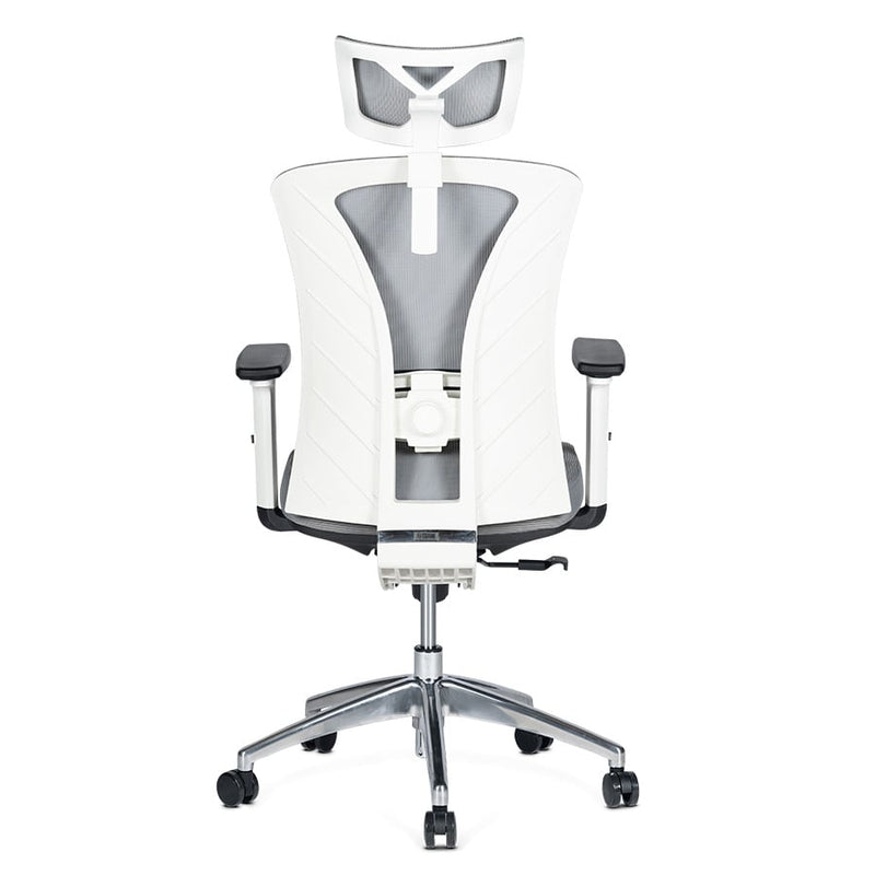 Silla de Oficina Delphi AGW Plus