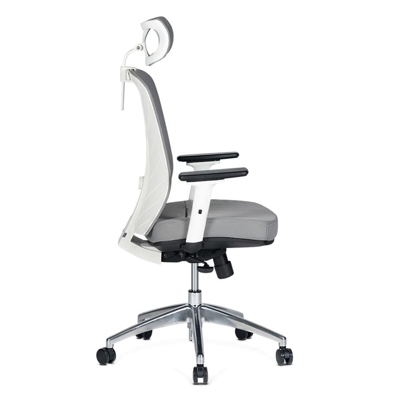 Silla de Oficina Delphi AGW Plus