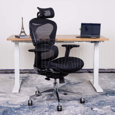 silla ergonómica 