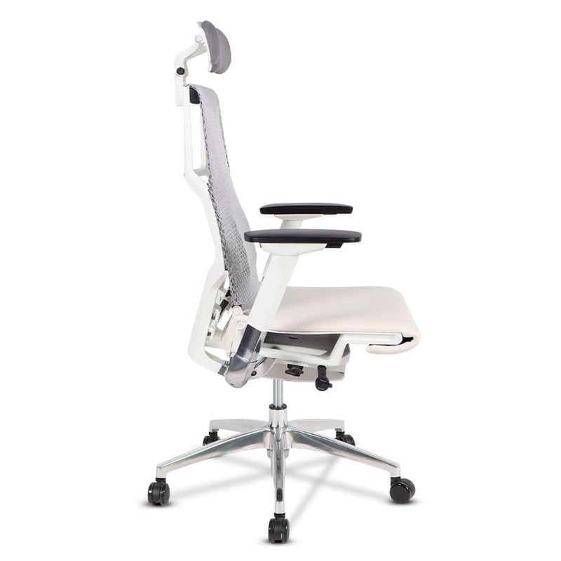 Sillas de escritorio - silla ergonómica - sillas de oficina - sillas - silla gerencial
