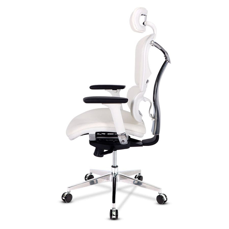 Sillas de escritorio - silla ergonómica - sillas de oficina - sillas gerencial - sillas